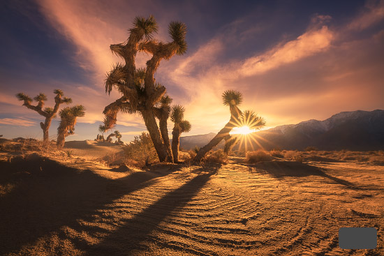 HDR (gain map)