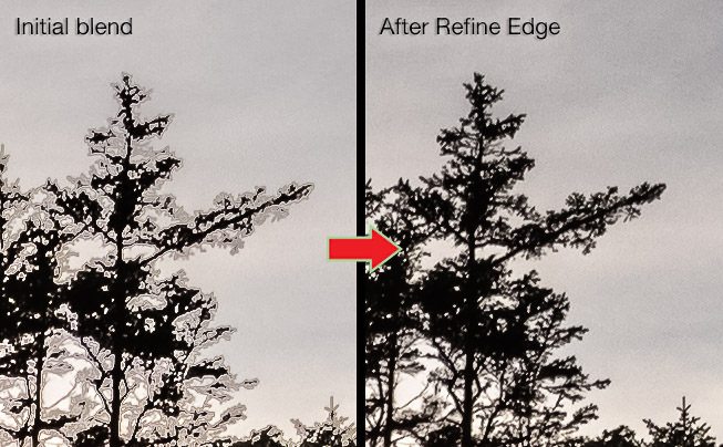 How to Use the Refine Edge Tool in Photoshop